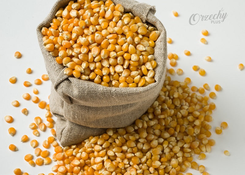 Popcorn ziarno, 1 kg